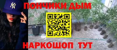 соль ск Лесосибирск