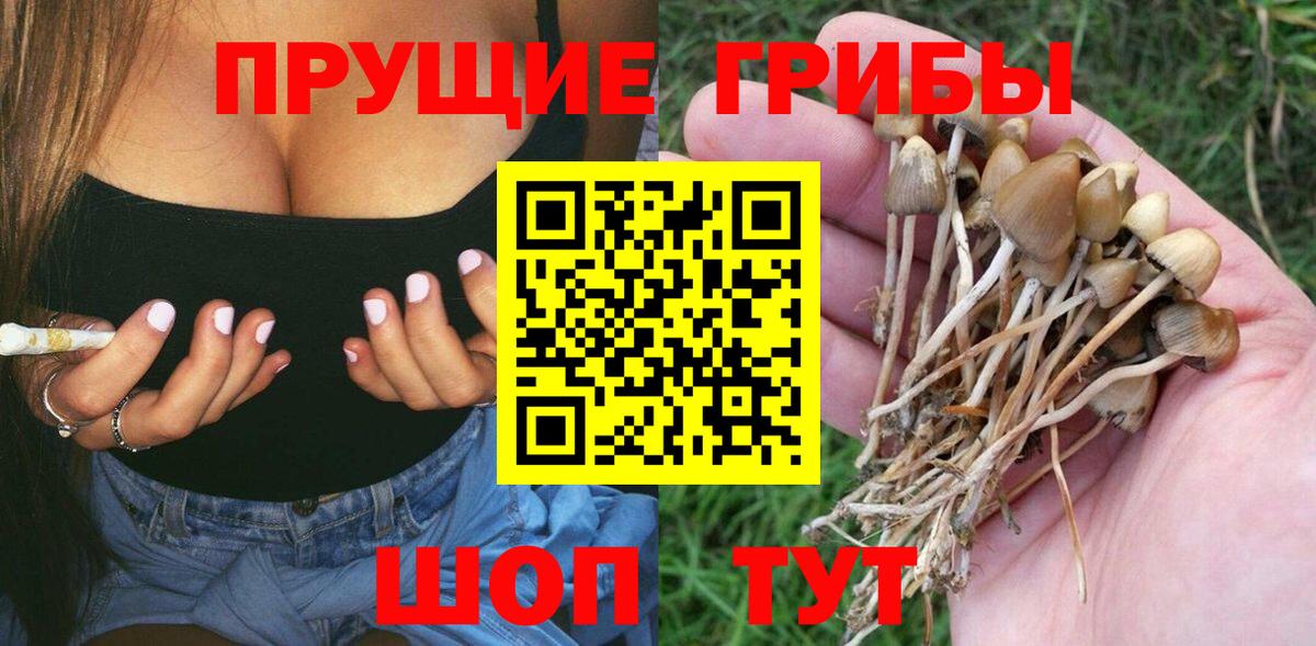 Ипатово  Псилоцибиновые грибы Psilocybine cubensis  Вход с VPN  Псилоцибиновые грибы GOLDEN TEACHER 
